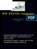 Pelvis - ANATOMIA