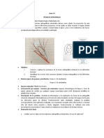 Guía Radiología # 4