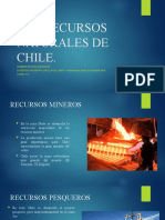 Los Recursos Naturales de Chile