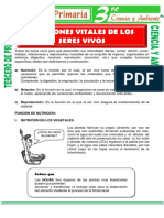 Funciones Vitales de Los Seres Vivos para Tercero de Primaria PDF