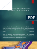 Diapositiva RECEPTORES O INHIBIDORES EN LA MEMBRANA POSTSIN - PPTX - Hshow 2014