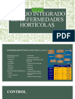 Enfermedades Hortícolas