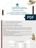 Origen Importancia Produccion Arroz Final PDF