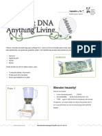 DNA Extraction - En.es