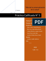 Pracrica Calificada #5