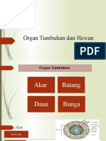 Organ Tumbuhan Dan Hewan