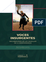 Voces_insurgentes