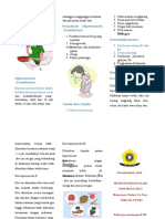 Leaflet Hiperemesis Gravidarum