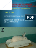 Métodos de sujeción, inoculación y obtención de sangre en animales de laboratorio