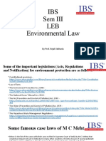 IBS Sem Iii LEB Environmental Law: by Prof. Kejal Vakharia