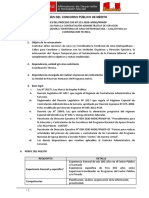 Bases Cas Virtualizadas Cas #213-2020 PDF