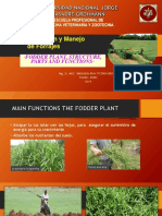 Clases 03 FODDER PLANT, STRUCTURE, PARTS AND FUNCTIONS