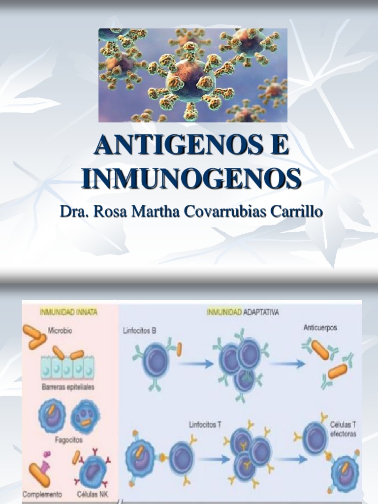 Inmunógenos y Antígenos: Definiciones Clave | PDF | Antígeno ...