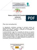 Planes y Tecnicas de Remediacion PDF