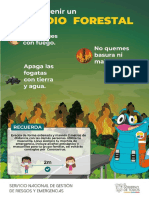 Afi-incendio_forestal