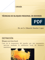 Fundamentos de Cirugía - Anestesia Local Por Bloqueo Nervioso en Bovinos