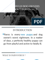 What Should Dog Owners Know About Parvovirus Infection?: DR - Reynan Brian Gozun