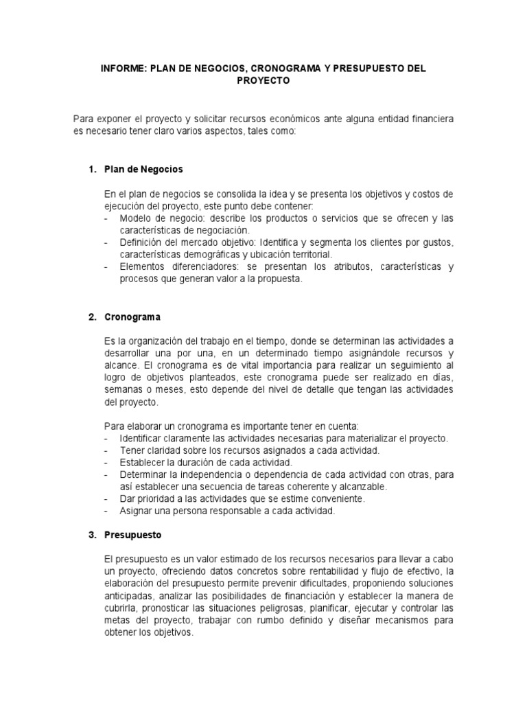 Plan de Negocios y Presupuesto del Proyecto | PDF | Presupuesto | Business