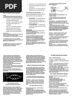 Central Nervous System (CNS B. Autonomic Nervous System