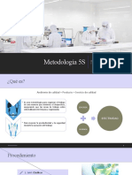 Metodología 5S Orden Limpieza Trabajo