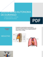 Torax y Region Precordial