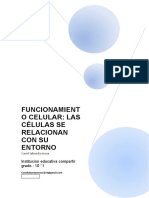 FUNCIONAMIENTO CELULAR BIOLOGIA, Segundo Periodo Ciclo 6