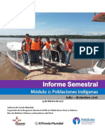 Informe Semestral Módulo Indígena