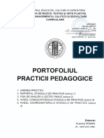 Portofoliu Practica Pedagogica FINAL