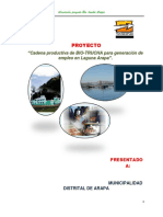 Proyecto-cadena-Productiva-de-Bio-trucha-Para-Generacion-de-Empleo-en-La-Laguna-de-Arapa-puno-Peru