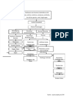 Pathway Reumatik