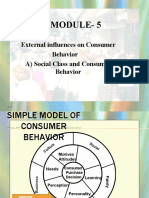 Module-5: External Influences On Consumer Behavior A) Social Class and Consumer Behavior