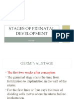 Stages of Prenatal Development: Germinal, Embryonic & Fetal Stages