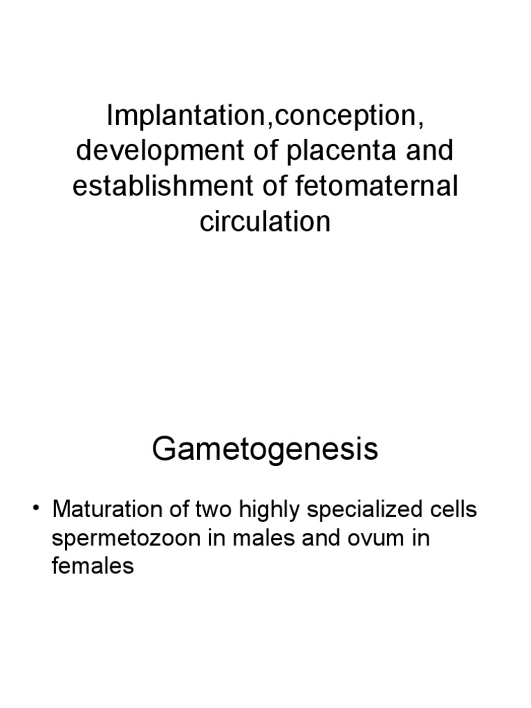 Implantation, Conception, Development of Placenta | PDF | Implantation ...