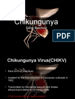 Chikungunya: Esha Baichoo