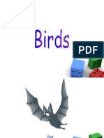 birds-090730031331-phpapp02