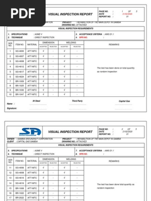 Visual Inspection Report.pdf