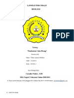 Laporan Percobaan Biologi (Cuka Pisang)