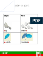 Unit 17 - Singulars and Plurals