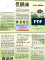 Budidaya Pepaya PDF