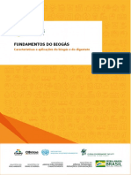 Aula 2 - Características e Aplicações Do Biogás e Digestato PDF