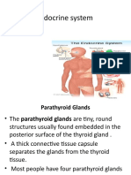 endocrine  system final  Para thyroid gland.pptx