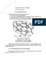 Hidrogeologie Aplicată - PROPRIETĂŢILE ROCILOR ACVIFERE PDF