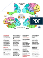 Areas de Brodmann