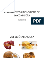 Fundamentos Biológicos de La Conducta