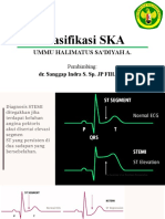 Klasifikasi SKA