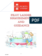 Pilot Ladder Guidance v1 June 2019