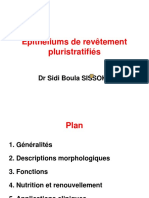 Epithéliums de Revêtements Unistratifiés - Annotated