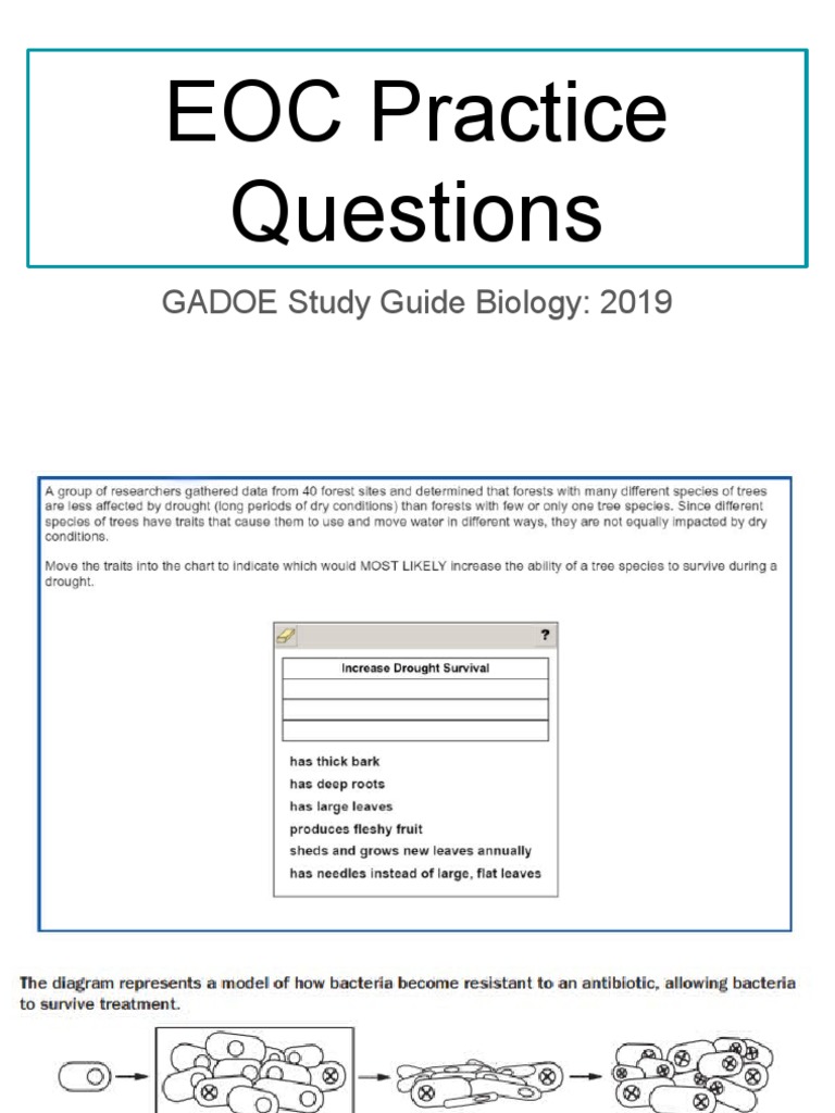 EOC Practice Questions 2019 SG PDF