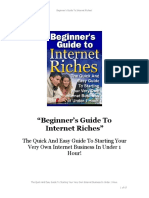 Beginners Guide To Internet Riches PDF