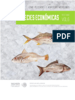 Recetario Vol. 06b - Especies Economicas - SAGARPA.pdf